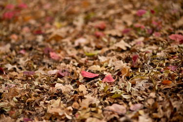 Similar image 10852743