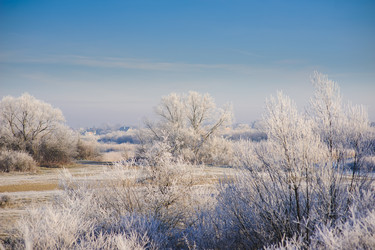 Similar image 10855548