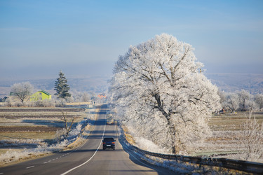 Similar image 10855549