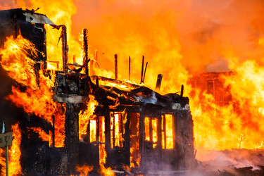 Similar image 10853416