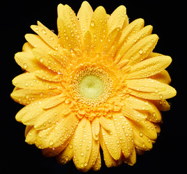 Similar image 10854420