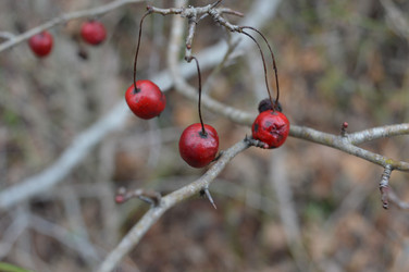 Similar image 10852781