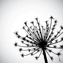 Similar image 10854752