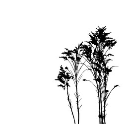 Similar image 10854754