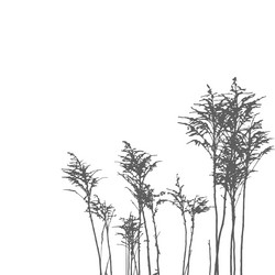 Similar image 10854755