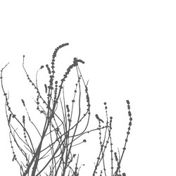 Similar image 10854805