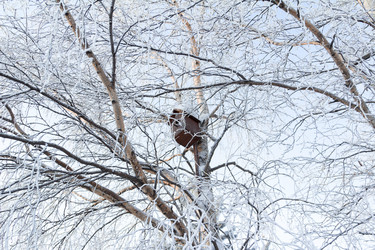 Similar image 10852923