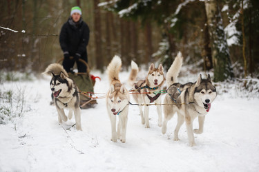 Similar image 10852658