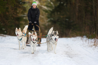 Similar image 10852659