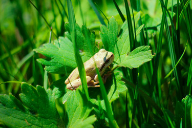 Similar image 10852750