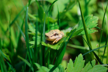 Similar image 10852751