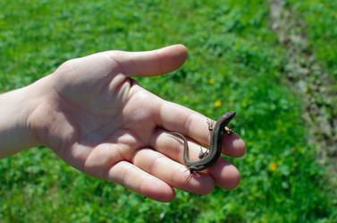 Similar image 10852752