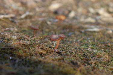 Similar image 10852754