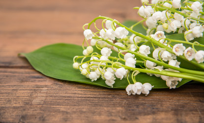 Similar image 10855213