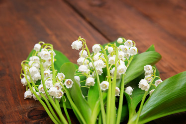 Similar image 10855215