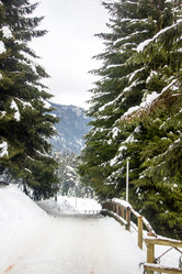 Similar image 10853111