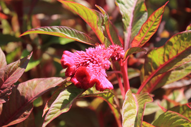 Similar image 10852772