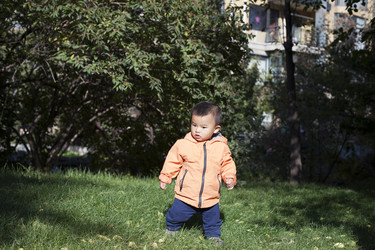 Similar image 10853635