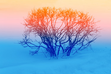 Similar image 10853453