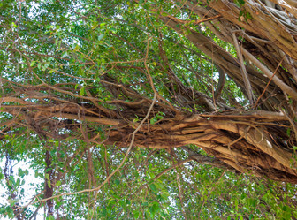 Similar image 10853866