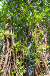 Similar image 10853868