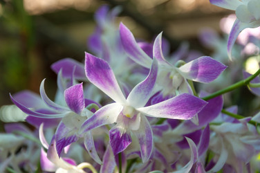 Similar image 10853871