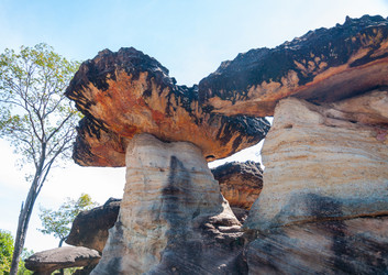 Similar image 10853876