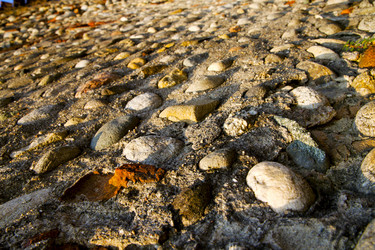 Similar image 10855047