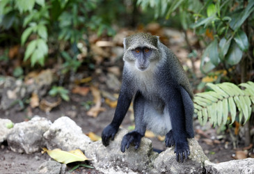 Similar image 10854334