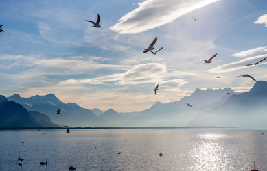 Similar image 10854296