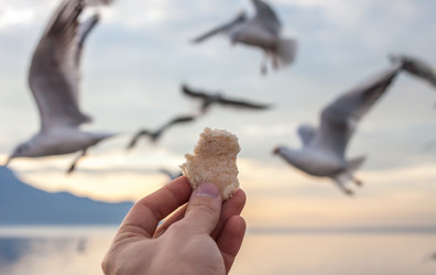 Similar image 10854479