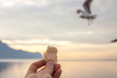 Similar image 10854480