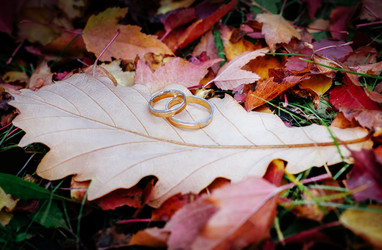 Similar image 10854098