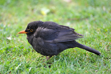 Similar image 10856035