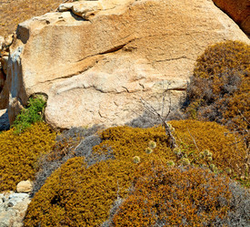 Similar image 10854538