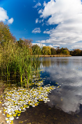 Similar image 10854302