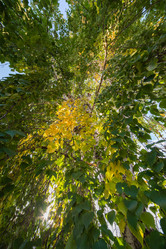 Similar image 10854311