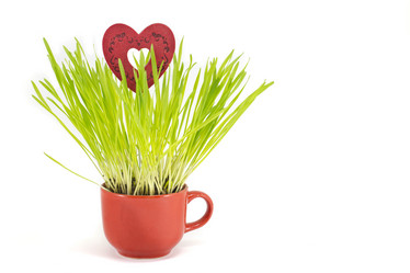 Similar image 10854524