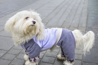 Similar image 10854494