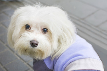 Similar image 10854495