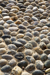 Similar image 10855007