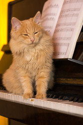 Similar image 10855081