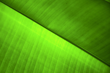 Similar image 10855023