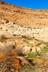 Similar image 10855030