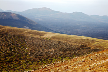 Similar image 10855043