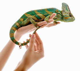 Similar image 10854904