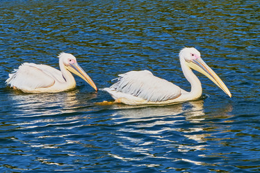 Similar image 10855404