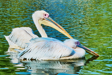 Similar image 10855405