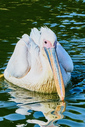 Similar image 10855407