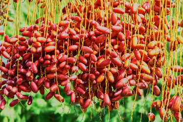 Similar image 10855409